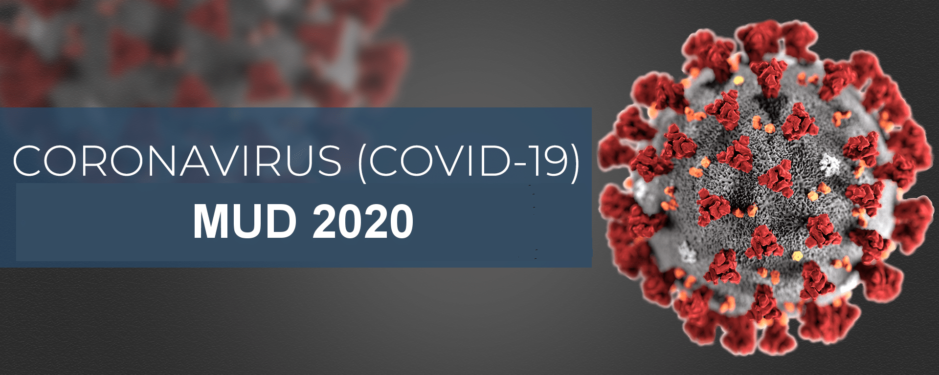Covid19 e MUD 2020